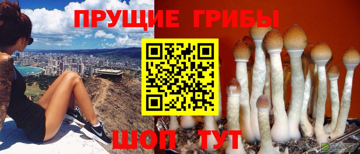 Псилоцибиновые грибы Magic Shrooms  Вход с VPN  Псилоцибиновые грибы MAGIC MUSHROOMS  Протвино 