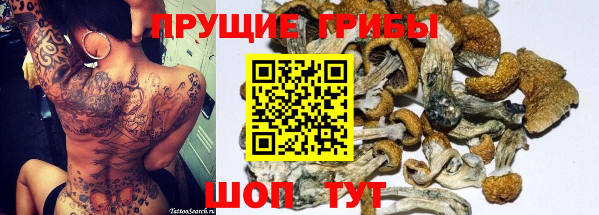 Псилоцибиновые грибы MAGIC MUSHROOMS Протвино